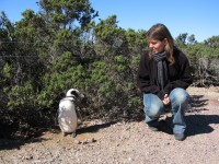 Joëlle et le pingouin